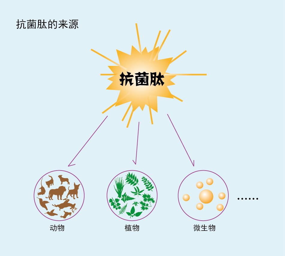 成果名稱：低成本的熱聚合抗菌劑的合成與轉化