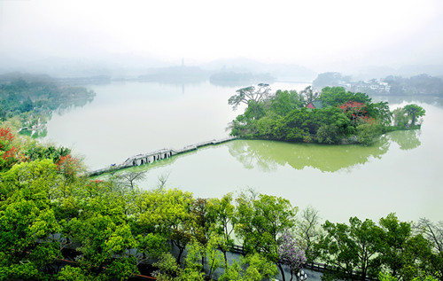 花洲話雨