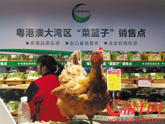 粵港澳大灣區(qū)食品安全升級“菜籃子”682個銷售點同時開業(yè)