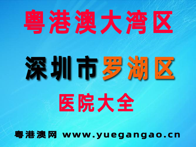 粵港澳大灣區(qū)深圳市羅湖區(qū)醫(yī)院大全