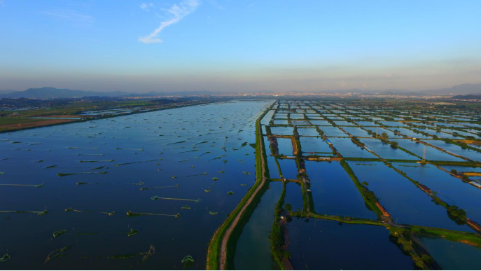 潼湖濕地