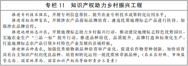 《“十四五”國家知識產(chǎn)權(quán)保護(hù)和運用規(guī)劃》全文(圖12)